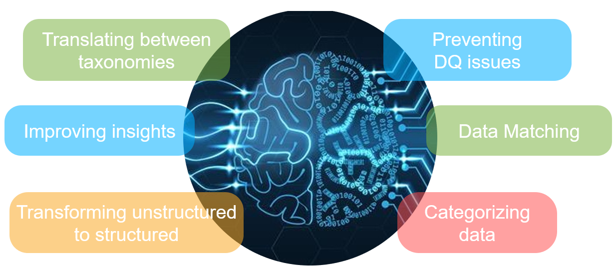 AI MDM DQ Use Cases