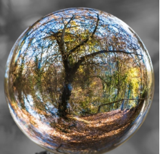 Intelligent Data Hub - Taking MDM to the Next Level